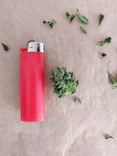 IMG_20240811_141908 - Kopie