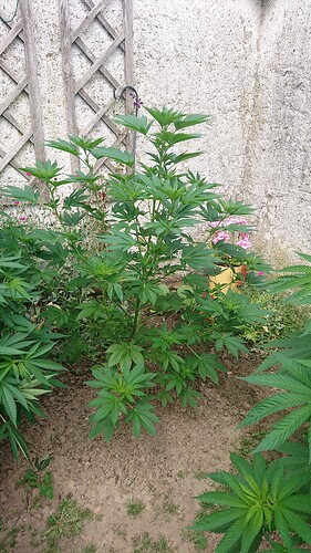 Growreport Bild 92