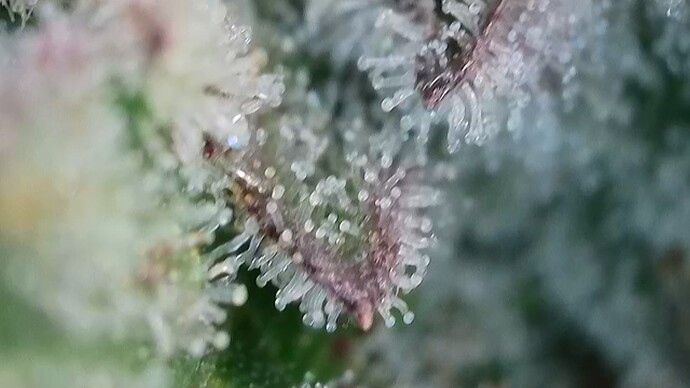 Growreport Bild 15