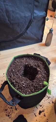 Growreport Bild 23