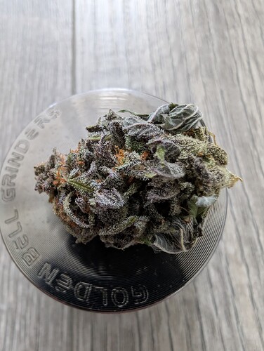 Growreport Bild 24