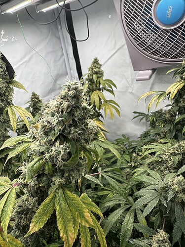 Growreport Bild 3