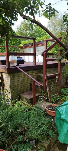 Growreport Bild 10