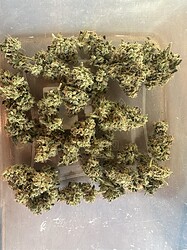 Growreport Bild 14