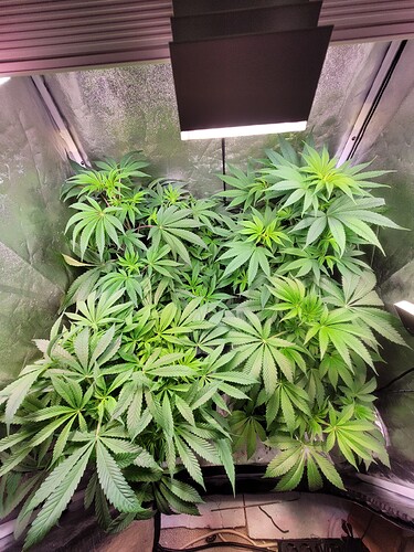 Growreport Bild 6