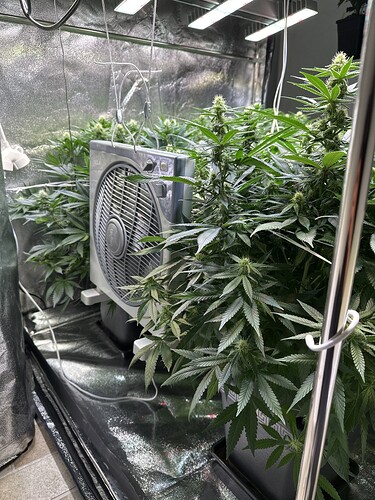 Growreport Bild 30