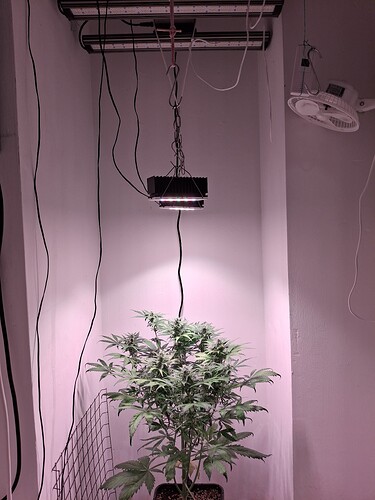 Growreport Bild 21