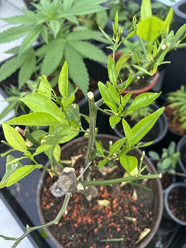 Growreport Bild 16