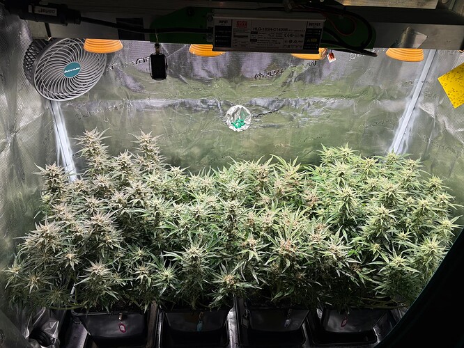 Growreport Bild 8