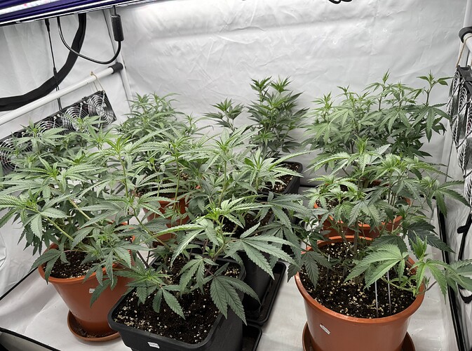 Growreport Bild 5