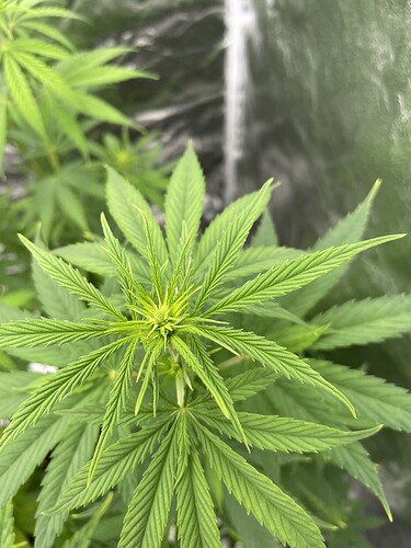 Growreport Bild 7