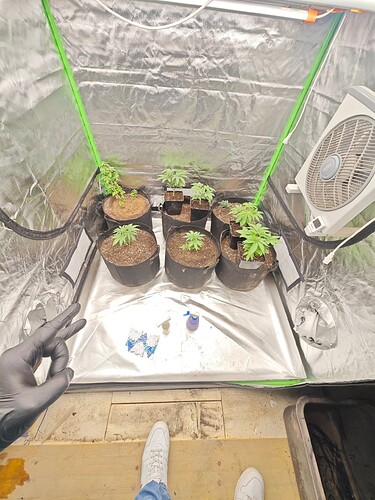 Growreport Bild 24