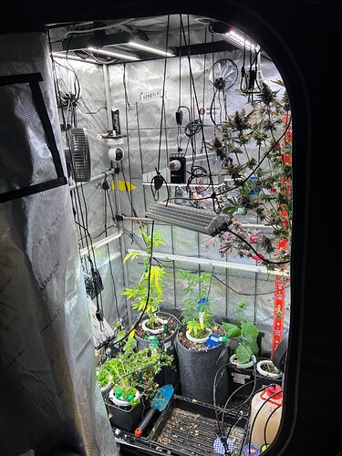 Growreport Bild 4
