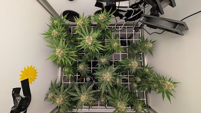 Growreport Bild 21