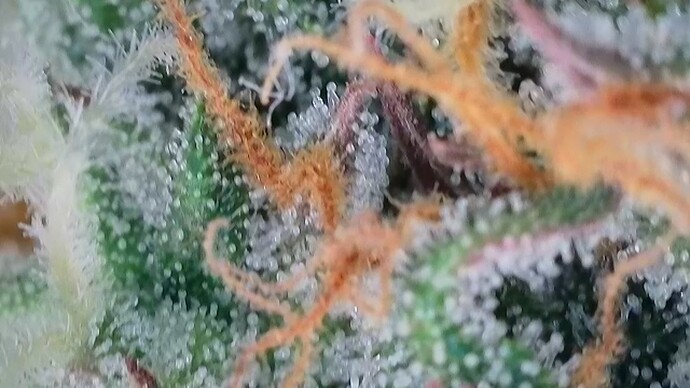 Growreport Bild 14