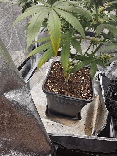 cb65ff0153037b1909305f1d2f475e6ec246e6ab