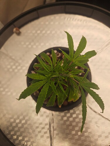 Growreport Bild 44