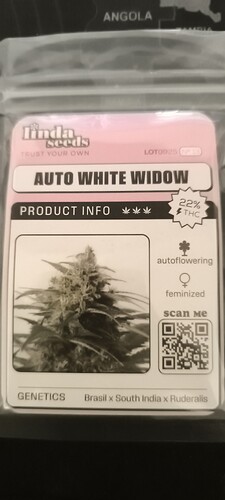 Growreport Bild 2