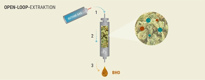 BHO-DE-01