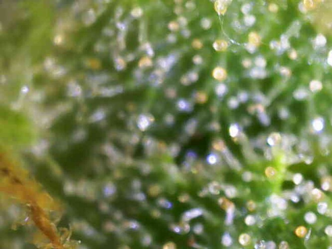 Growreport Bild 10