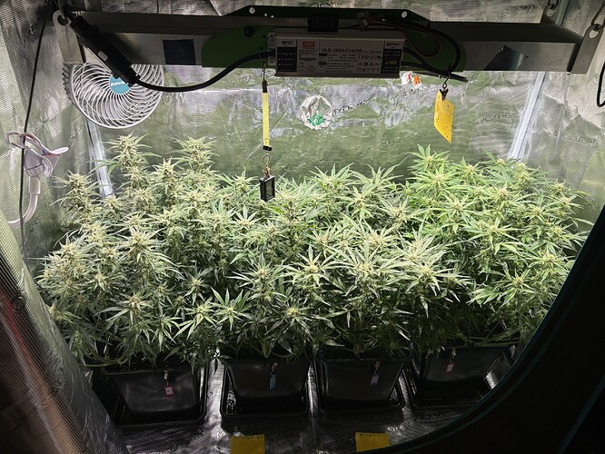 Growreport Bild 3