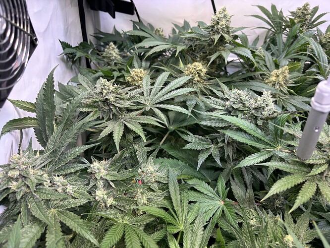 Growreport Bild 22