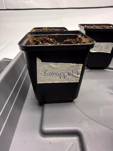 Growreport Bild 15