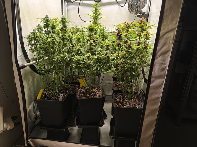 Growreport Bild 5