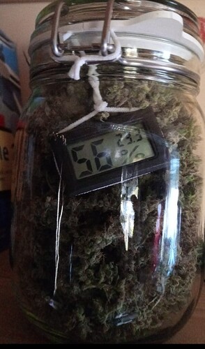 Growreport Bild 2