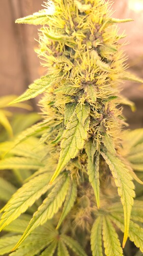 Growreport Bild 10