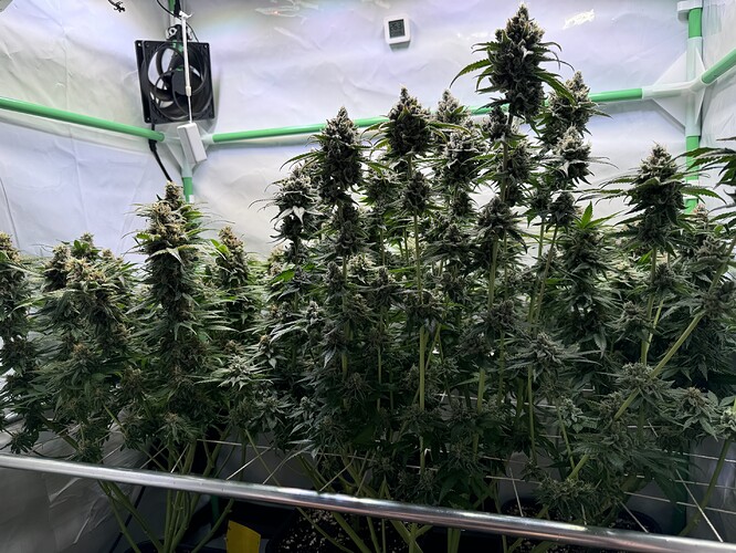 Growreport Bild 8