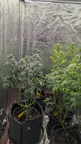 Growreport Bild 18