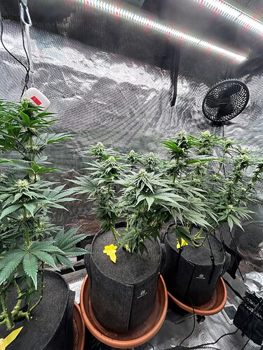 Growreport Bild 13