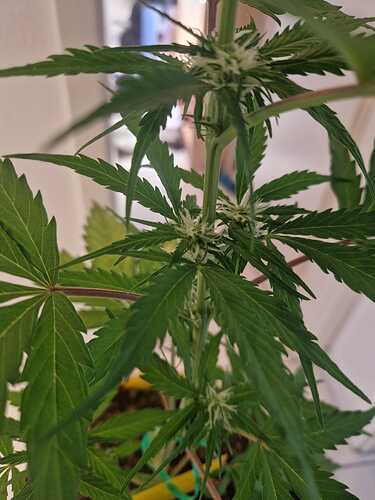 WhatsApp Image 2024-05-18 at 09.21.17 (1)