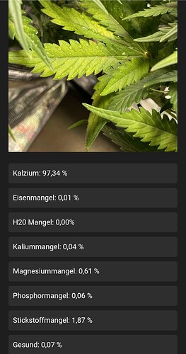 Screenshot_20240620_124056_Chrome