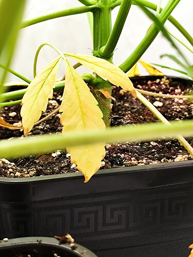Growreport Bild 4