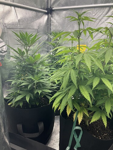 Growreport Bild 10