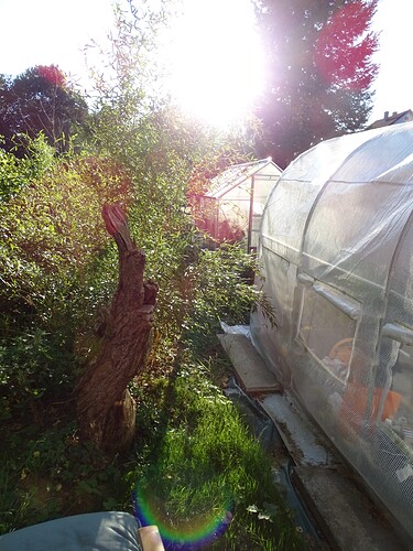 Growreport Bild 42
