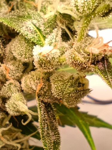 Growreport Bild 9