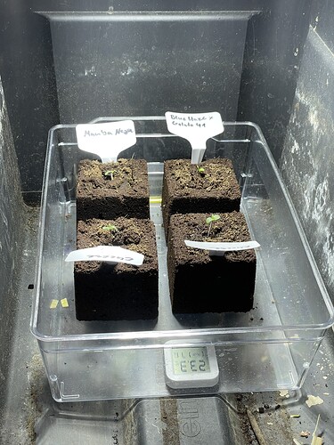 Growreport Bild 8