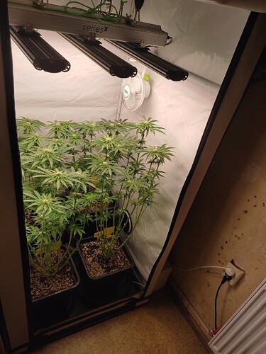 Growreport Bild 34