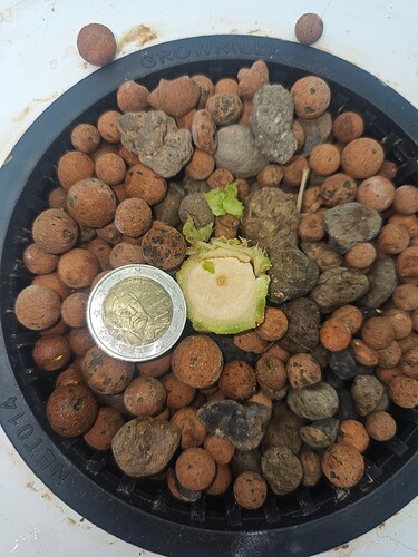 Growreport Bild 28