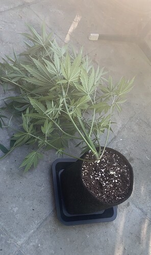 Growreport Bild 47