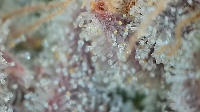 Growreport Bild 24