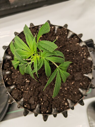 Growreport Bild 9