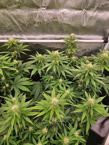 Growreport Bild 14