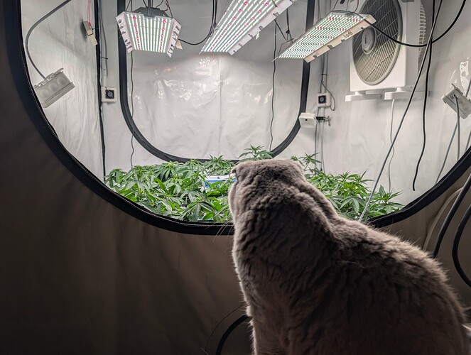 PXL_20250720_193845595.RAW-01.COVER