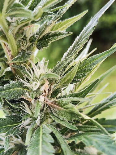 Growreport Bild 10