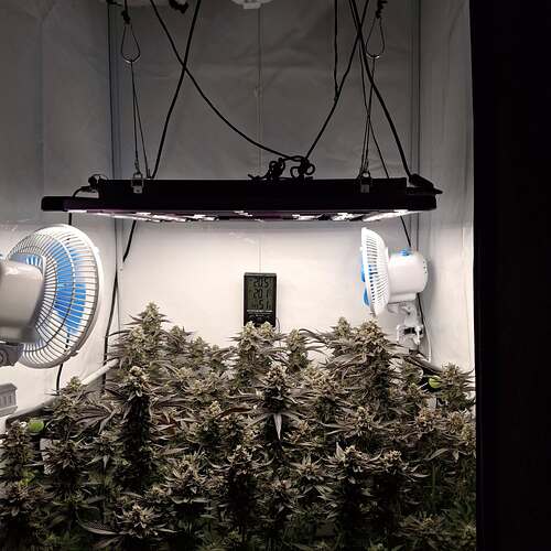 473741753_122169888500293599_480641589860383675_n