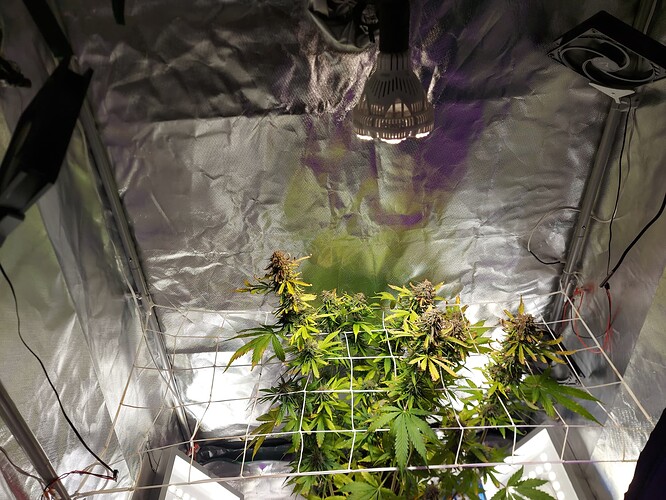 WhatsApp Image 2024-09-04 at 22.21.16